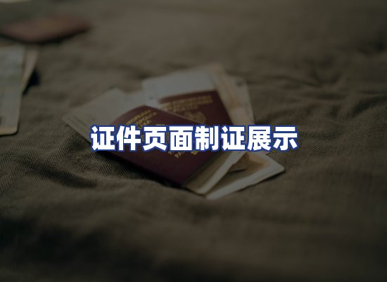 证件页面制证展示