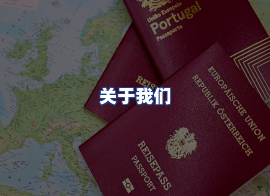 专业团队